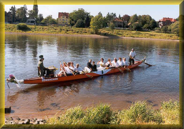 k Dresdner Loewen auf Hochzeitstour